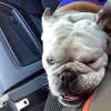 jack Longworth - @jordan.longworth - TikTok