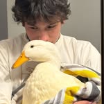 Jack Lou - @mcballss - Instagram