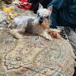 @jack_loving_171 - Instagram