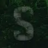 Shoxy75 - @jacksonlumley2131 - TikTok