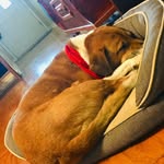 Jackson Lumpkin - @jackson_lumpkin - Instagram
