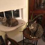 ✨Jack And Luna✨ - @jack_luna_ - Instagram