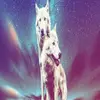 jack_luna77 - @jack_luna77 - TikTok