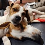Jack_Luna - @jack_luna_jrs - Instagram