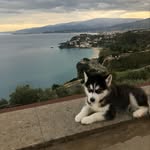 Jack&Luna - @jack_luna_13.09_02.01 - Instagram