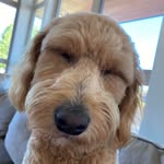 Jack - @jacklundeen - Instagram