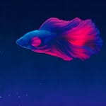 @jack_lust - Instagram