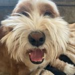 Jack Lustig - @jack_lustig11 - Instagram