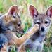 Jack Lustig - Facebook