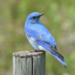 Jack Luther - @jackluther039 - Instagram