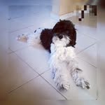 Jack Lye - @jacklyee - Instagram