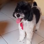 Jack Lye - @jacklye5 - Instagram