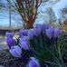 Jacki Epps Lyster - Facebook
