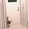 jack.lyttle - @jack.lyttle - TikTok