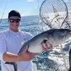 Jack Maas - @jackofalltrades036 - TikTok