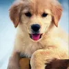 Jack_MacArthur - @jack_macarthur - TikTok