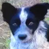   Jack Campbell MacGregor - @jack_macgregor78 - TikTok