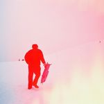 k e i s u k e - @jack_mackerel_bowl - Instagram