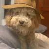 Jack Macleod - @jack.a.macleod - TikTok