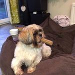 Jack MacRae Dehoux - @jack_mac221 - Instagram