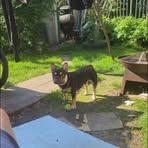 Jack Maddison - Facebook