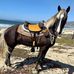 Jack Madson - Facebook