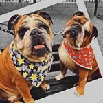 Magan & Jack - @magan_and_jack - Instagram