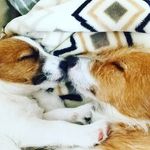 セナ&ソラ - @jack_mainichi - Instagram