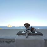 Mr. Giacomo Jack Maiorana - @jack_maiorana - Instagram