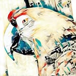 Jack Makepeace - @realcrimsonninja - Instagram