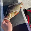 Jack Malm - @jack.malm2 - TikTok
