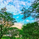 Jack Mandel - @mandeljack - Instagram