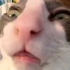 Jack March287 - @jackmarch287 - TikTok