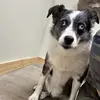 jack.marlow8 - @jack.marlow8 - TikTok