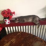 Jack Marlowe - @jackoman66 - Instagram