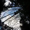j_m923 - @jack_martens_ - TikTok