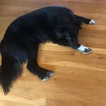 Jack Martz - @jack_martz11 - Instagram