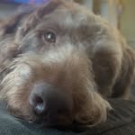 jack - @jackmasterson_ - Instagram