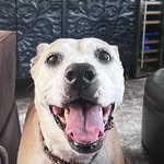Jack Masterson - @jackm.728 - Instagram