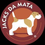 Jacks da Mata - Jack Russell Terrier | Valter da Mata - @jacksdamata - Instagram