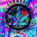 jackson matarazzo - @jackson_matarazzo - Instagram