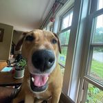 Jack Mateychuk - @jackmatey44 - Instagram
