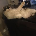 Jack Matheny - @jack_matheny_ - Instagram
