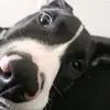 Jackson Matlock - @jackson.matlock - TikTok