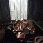 Jack Mattern - @jackmattern123 - Instagram
