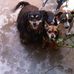 JacK n Georgie's Every Life Matters Page - Facebook