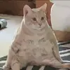 Jack - @jackmatzen012007 - TikTok