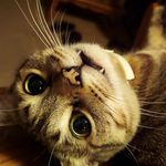Jack Maupin - @jack_jr73 - Instagram