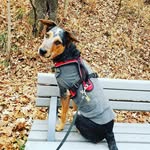 Jack Maverick - @jackacd20 - Instagram