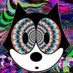Jack Maverick - @jack.wolf.393 - Instagram